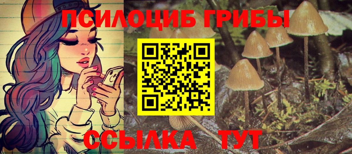 Вичуга  Псилоцибиновые грибы Cubensis  Вход с VPN  Псилоцибиновые грибы Psilocybe 