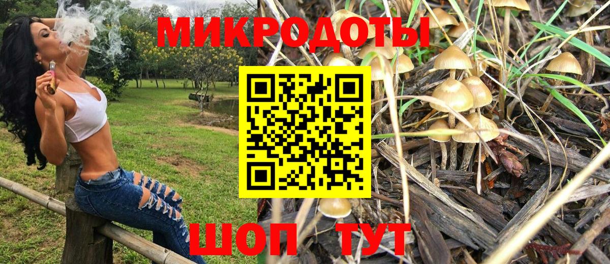 Галлюциногенные грибы прущие грибы Вичуга